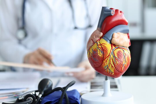 Cardiology